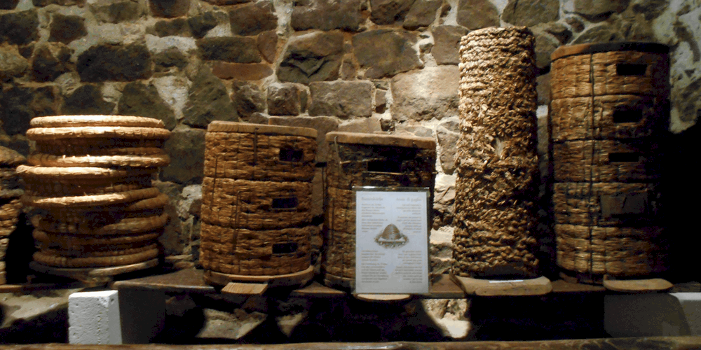 Alveari al Museo dell'Apicolutura
trekking altopiano renon