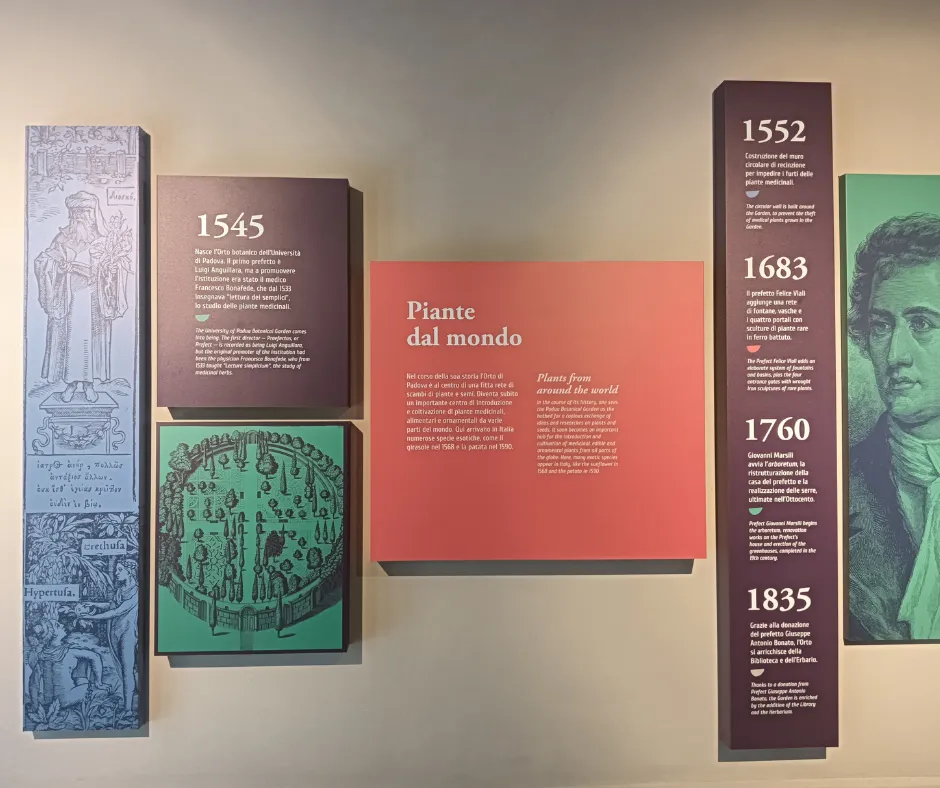 museo botanico padova