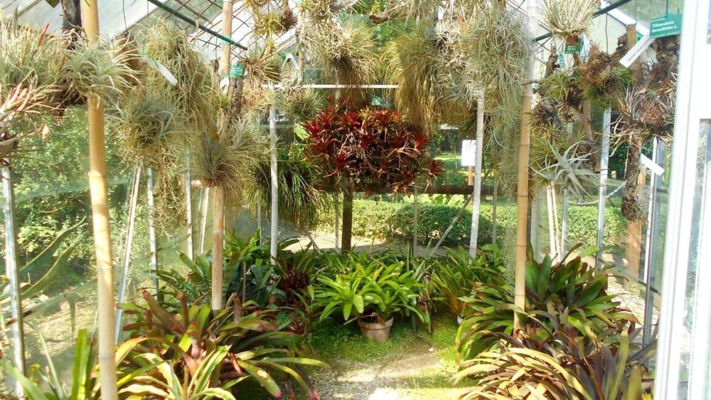 orto botanico serra ferrara