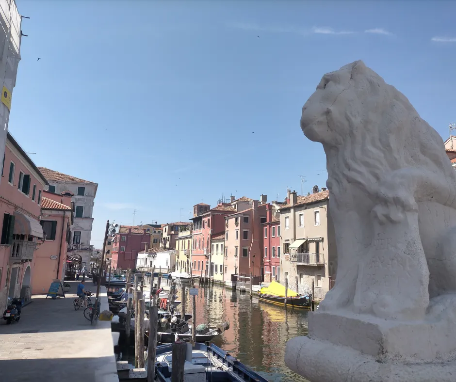 Il gatto de Ciosa