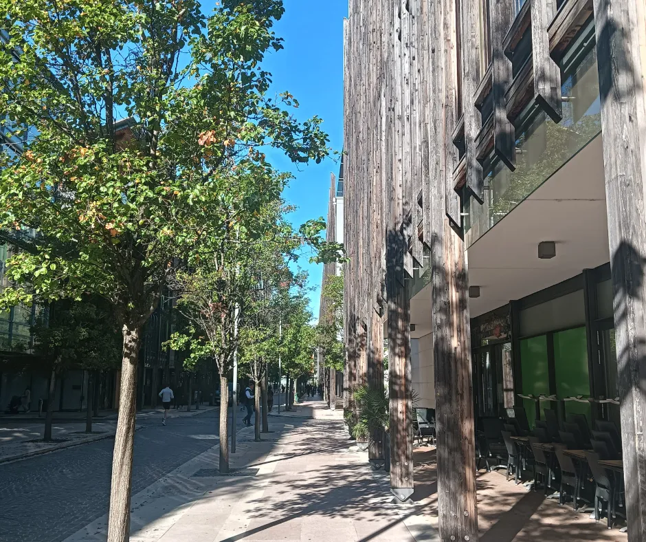 un viale del quartiere delle albere