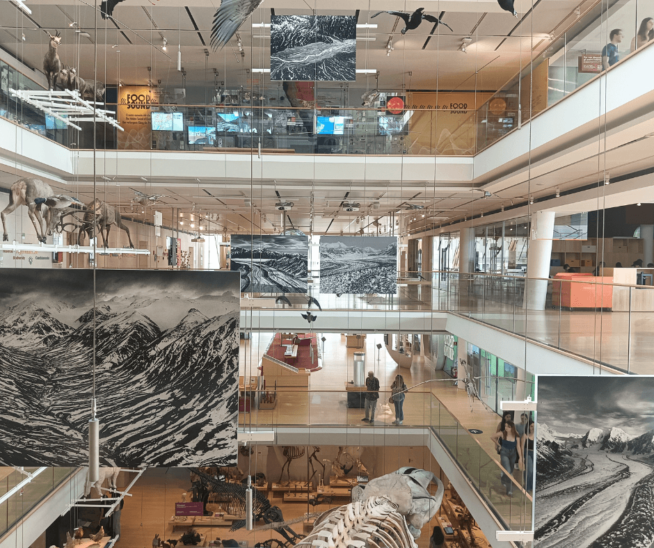 muse mostra salgado